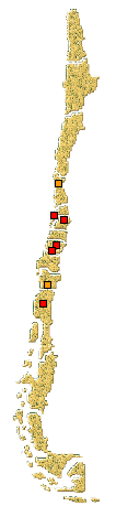 Distribución de Coccidophilus sp.