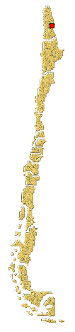 Distribución de Coccidophilus sp.