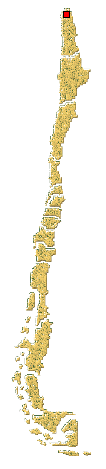 Distribución de Coccidophilus sp.