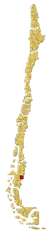 Distribución de Coccidophilus sp.