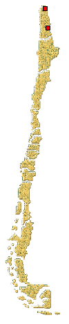 Distribución de Eriopis andina