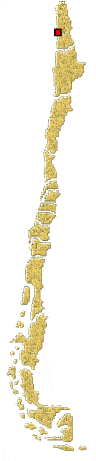 Distribución de Eriopis andina