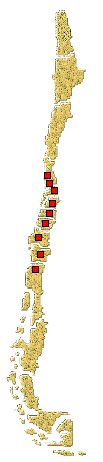 Distribucion de Cheilomenes sexmaculata