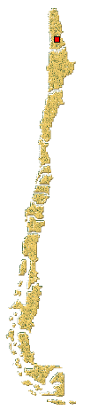 Distribucion de Hyperspis nana