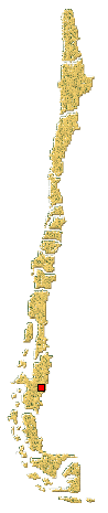 Distribucion de Psyllobora bicongregata