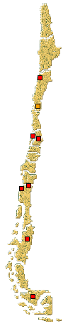 Distribución de Adalia angulifera