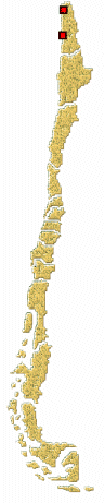 Distribucion de Cheilomenes sexmaculata