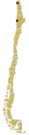 Distribución de Coccidophilus sp.