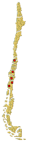 Distribucion de Cranoryssus flavomarginatus