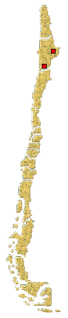 Distribucion de Cycloneda sp.