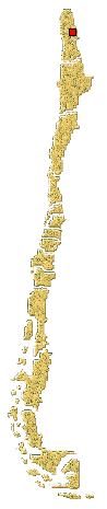 Distribución de Eriopis andina