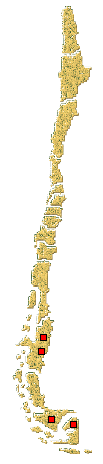 Distribución de Eriopis magellanica