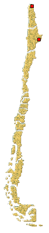 Distribución de Eriopis minima