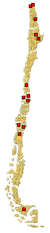 Distribución de Hippodamia convergens