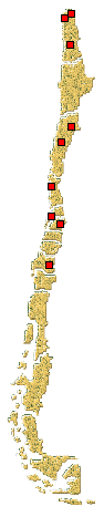Distribución de Hippodanmia variegata