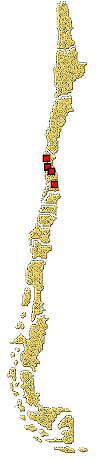 Distribucion de Mimoscymnus gonzalezi