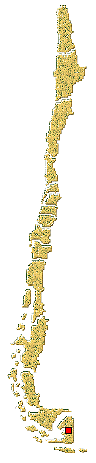 Distribución de 