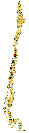Distribución de Neoryssomus variabilis