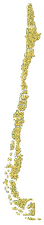 Distribución de Rhizoryssomus ruficollis