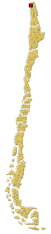 Distribucion de Scymnobius triangularis