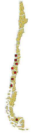 Distribución de Stictospilus darwini