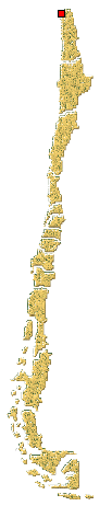 Distribucion de Psyllobora picta