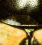 Borde posterior del pronoto