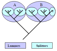 Lumpers y Splitters