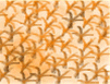 Microtrichia