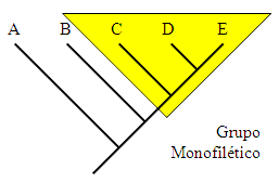 Grupo monofilético