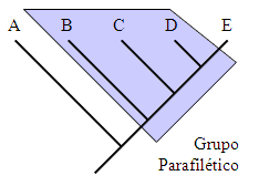 Grupo Parafilético