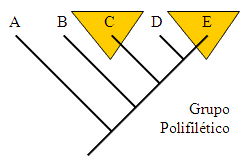 Grupo Polifilético