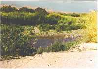 Rio Lluta