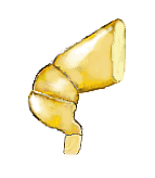 Antena de Scymnobius triangularis